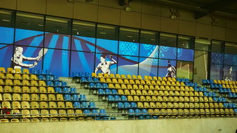 爱游戏官网-澳大利亚队未来如何利用青训体系打造新一代乒乓巨星，澳大利亚乒乓球